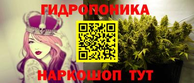 ГАЛЛЮЦИНОГЕННЫЕ ГРИБЫ Можайск